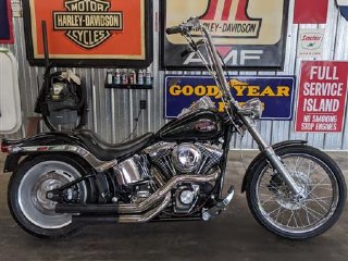 2007 Harley Davidson Softail Custom